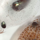 Illustration for article titled Squids and Octopi Change From Invisible to Camouflaged in a Snap
